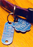 Dog Tags