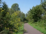 Tallgrass Trail