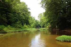 River Sweep