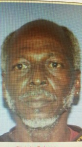 Wanted-Hudson
