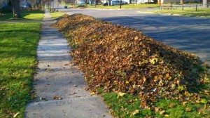 Leaf Pile