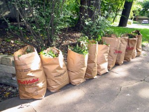 yard waste
