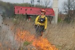 Photo is from a previous burn at the prairie.