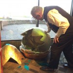 Gary Branson, Marion Public Library Director, inspects the mysterious hatched egg.