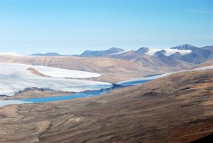 arctic