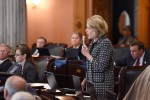 Dorothy Pelanda (R-Marysville) speaks on House Bill 270 at the Ohio Statehouse.